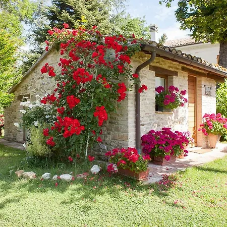 Bed & Breakfast A Casa Da Marcella Montefelcino